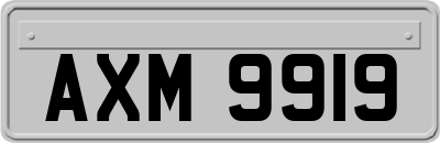 AXM9919