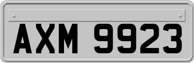 AXM9923