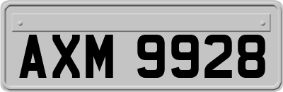 AXM9928