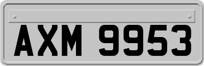 AXM9953
