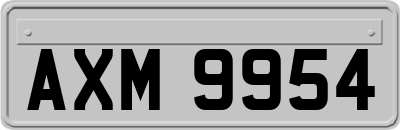 AXM9954