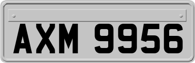 AXM9956