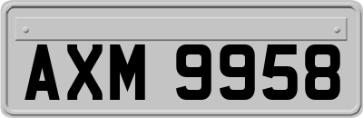 AXM9958