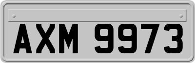 AXM9973