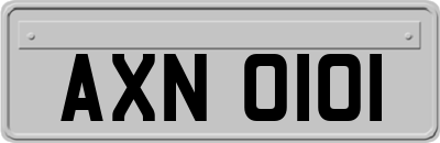 AXN0101