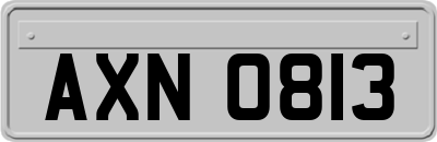 AXN0813
