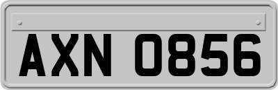 AXN0856