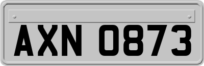 AXN0873