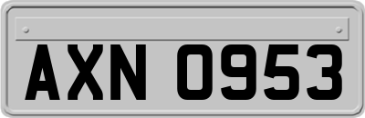 AXN0953