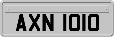 AXN1010