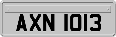 AXN1013