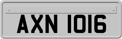 AXN1016