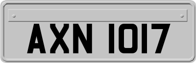 AXN1017