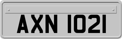 AXN1021
