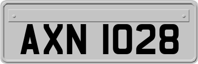 AXN1028