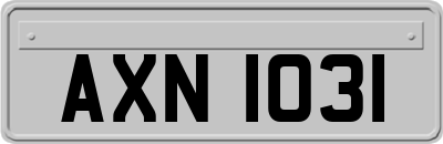 AXN1031