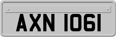 AXN1061