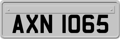 AXN1065