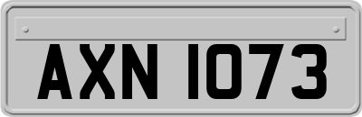 AXN1073