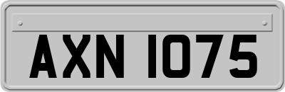 AXN1075