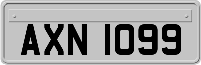 AXN1099