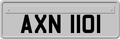 AXN1101