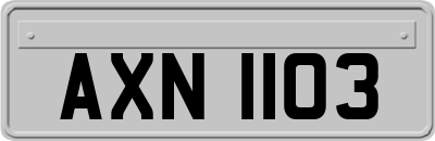 AXN1103