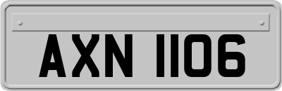 AXN1106