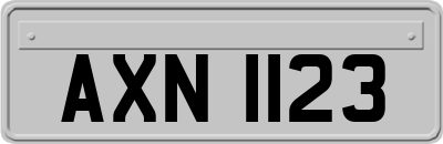 AXN1123