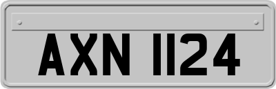 AXN1124
