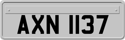 AXN1137