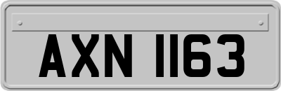 AXN1163