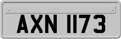 AXN1173