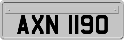AXN1190