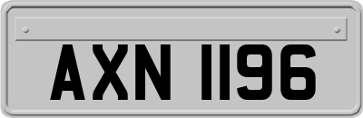 AXN1196
