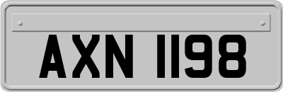 AXN1198