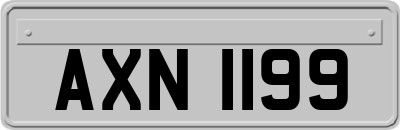 AXN1199