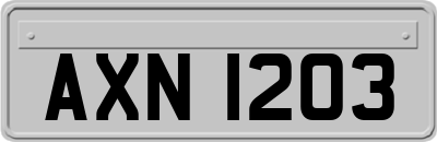 AXN1203