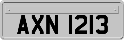 AXN1213