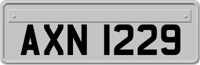 AXN1229