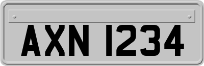 AXN1234