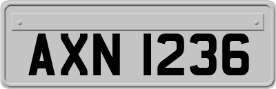 AXN1236