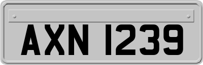 AXN1239