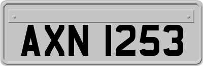 AXN1253