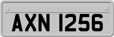 AXN1256