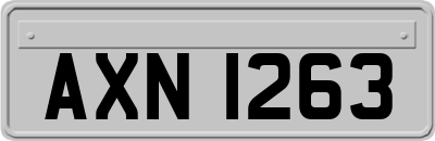 AXN1263