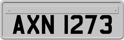 AXN1273