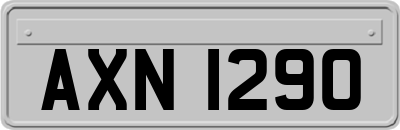 AXN1290