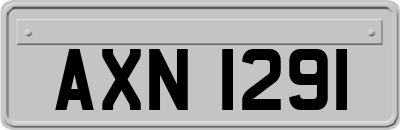 AXN1291