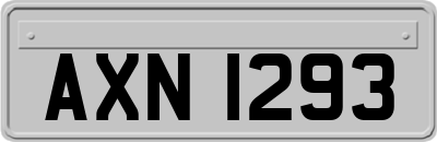 AXN1293
